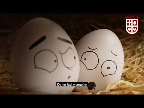 Fornøjelse - Danske æg taler ud.