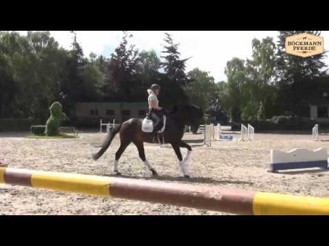 Trainingsmomente von Danzador