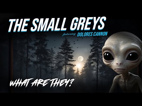 Small Grey Aliens Explained by Dolores Cannon #ufo