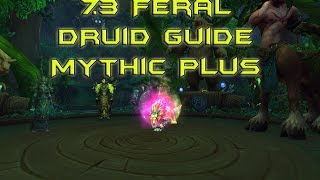 732 Feral Druid PVE Guide Mythic Plus