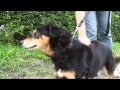 13 Wmv