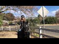 HORSE PROPERTY IN SOUTHERN CALIFORNIA Best Horse Town To Live In Agoura Hills California