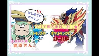 【ポケットモンスター シールド】クリア後のいろいろしていくよ【初心者】