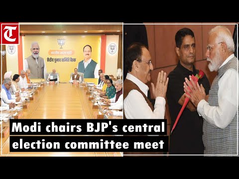 PM Modi chairs BJP