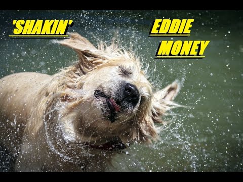 HQ  EDDIE MONEY  -  SHAKIN'  Best Version!  HIGH FIDELITY AUDIO HQ & LYRICS