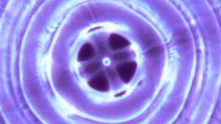 A = 432 Hertz Cymatics