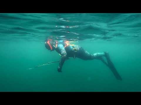Kingtips - Hvordan laver jeg et neddyk / duckdive?