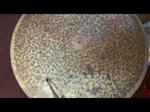 22” natural flat ride 3460 grams