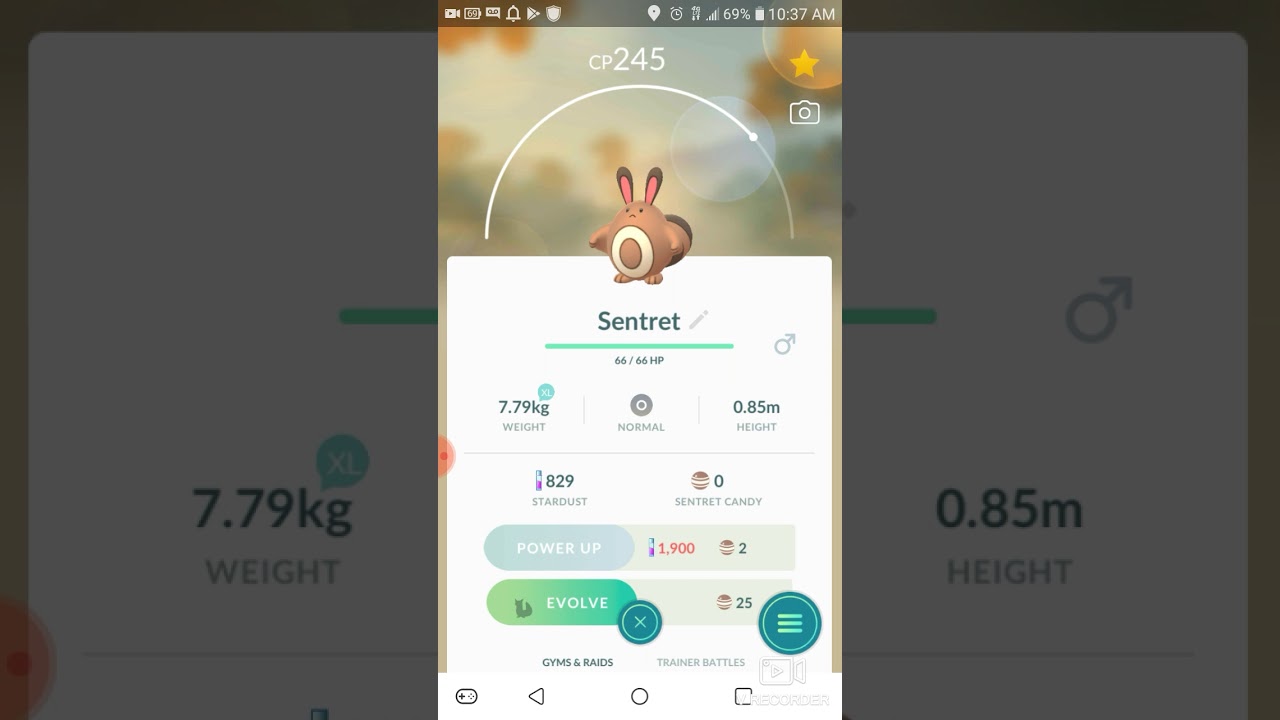 Sentret&furret