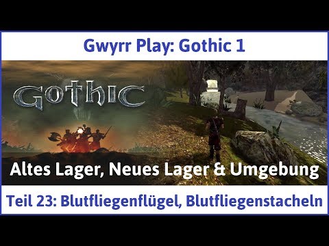 Gothic 1 Teil 23: Blutfliegenflügel, Blutfliegenstacheln - Let's Play