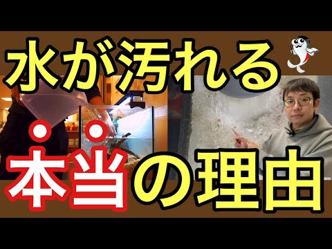 動いている水は凍ることはありますか？