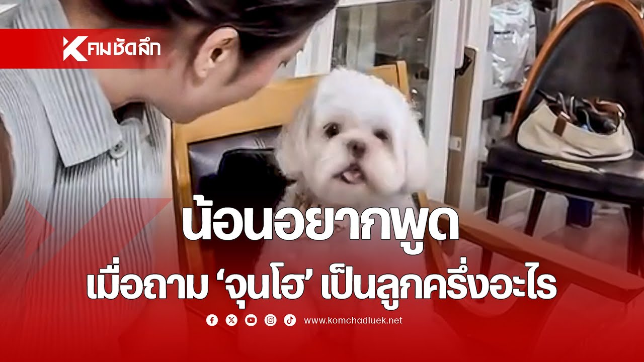 สุดเอ็นดู น้องหมาอยากพูด เมื่อถาม 'จุนโฮ' เป็นลูกครึ่งอะไร