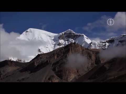 Exo- und Endogene Kräfte Dokumentation