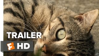 Counting Official Trailer 1 (2015) - Jem Cohen Documentary HD