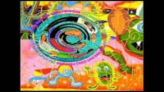 Red Hot Chili Peppers-No chump love sucker