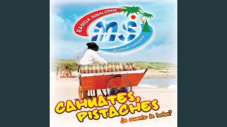 Flor Hermosa Lyrics English Translation