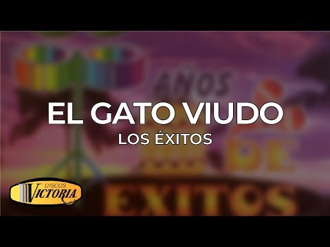 Los Éxitos - El Gato Viudo
