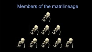 CARTA: Mortality: Is Fear of Death Really a Fear?; Archaeology of Immortality; Death as Celebration