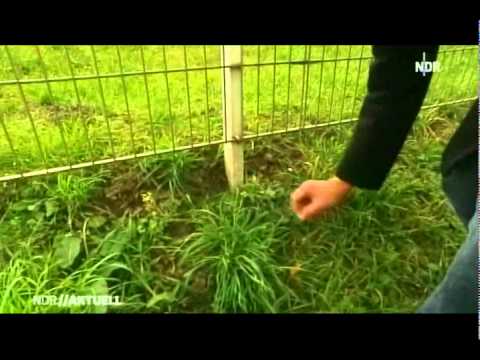 Asbest-Transport | Neue Asbestfunde bei Wunstorf | NDR Aktuell 2011-11-08