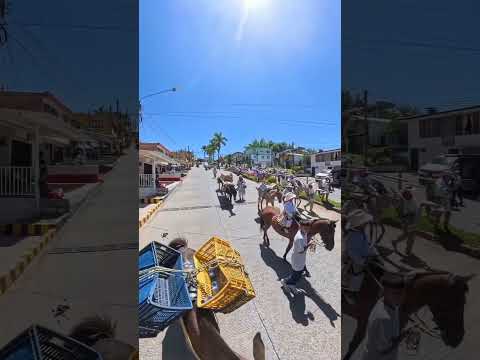 🐴 Desfile de Arriería Quinchía 2026 — Fiestas de la Villa de los Cerros