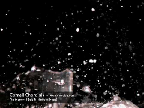 The Chordials - The Moment I Said It (OPB Imogen Heap)