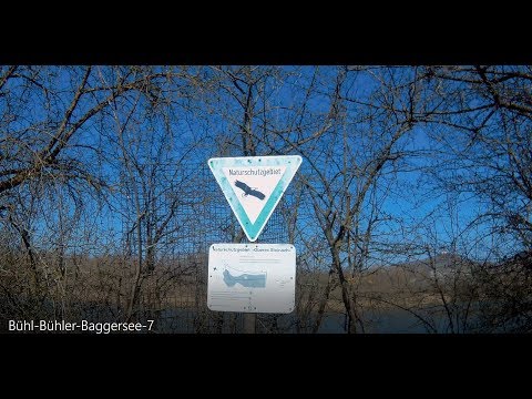 Baggersee Tübingen Bühl