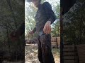 Fastdraw With Blanks!! #quickdraw #saa #fastdraw #guns #rdr2 #western #clinteastwood #country #blank