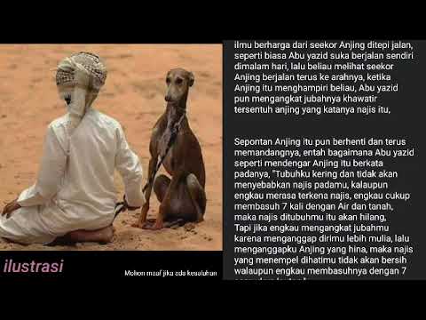 KISAH ABU YAZID AL-BUSTHOMI DAN SEEKOR ANJING