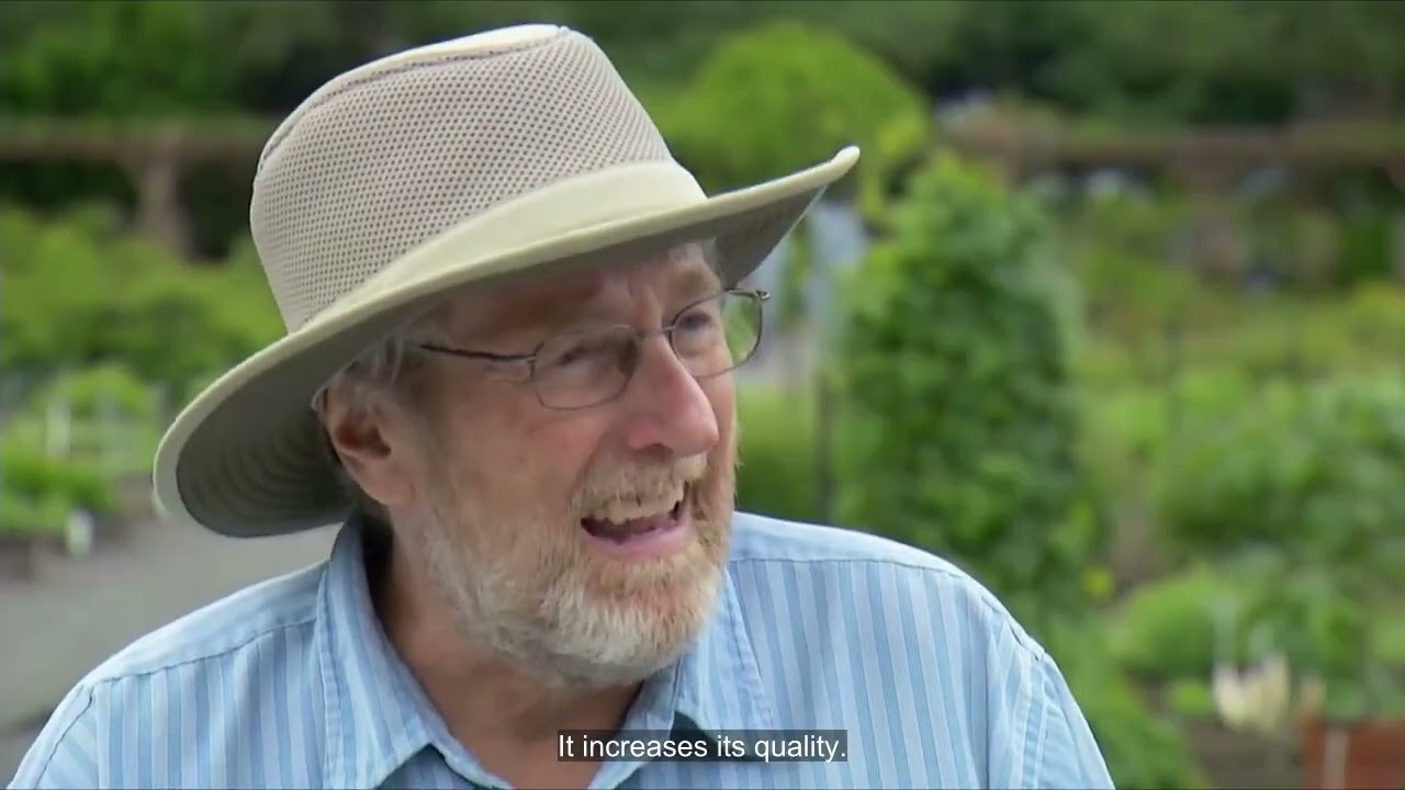 The ideal fertilizer for the Laidback gardener: Acti-Sol multi-purpose fertilizer