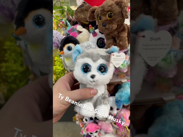 Vídeo relacionado con Ty 36006 - Slush, Husky Beanie Boo peluche, 15 centimetri