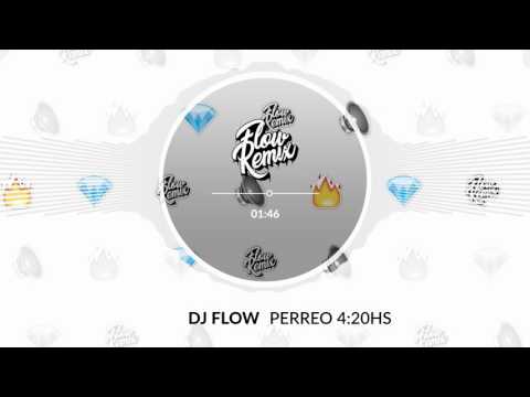 DJ Flow - Perreo 4:20 Hs (Flowremix 2017)