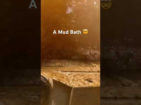 Best Experience Ever 😁🇯🇲Yaaman Adventure Park. Full vlog on channel ‼️