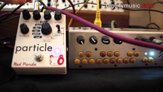 Red Panda Particle pedal w/ Critter & Guitari Pocket Piano