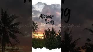 Download lagu Mawar Ilang STORY WA #bagusksm mp3