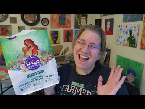 download lagu mp3 mp4 Halo Vegan Dog Food, download lagu Halo Vegan Dog Food gratis, unduh video klip Halo Vegan Dog Food