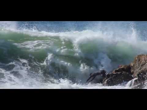 Miguel Blanco viral wipeout on the rocks