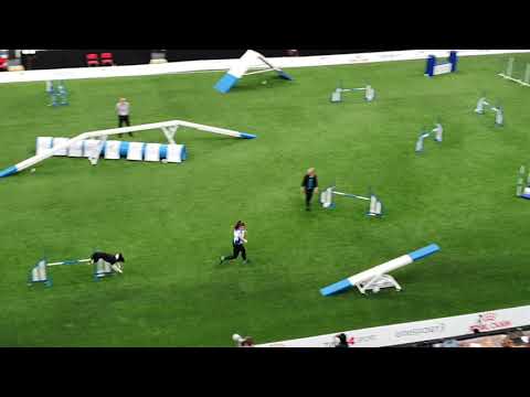 DIESEL Elpida Ismael Large Agility AWC 2019