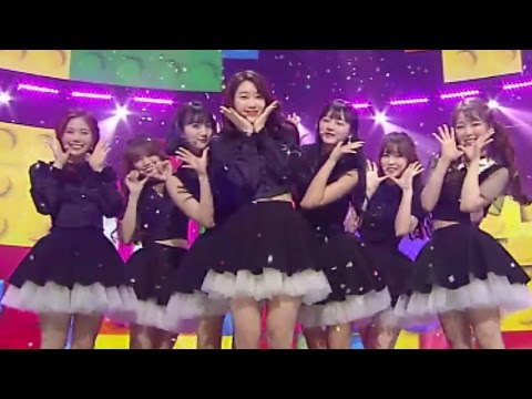 “CUTE”OH MY GIRL  - 着色书@流行歌曲Inkigayo 20170514