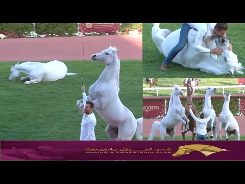 The End -HH the Amir Sword Festival 🇶🇦