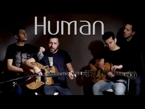 Rag'n'Bone Man - Human (Dario Pinelli And The IGF Trio Acoustic Guitar Cover)