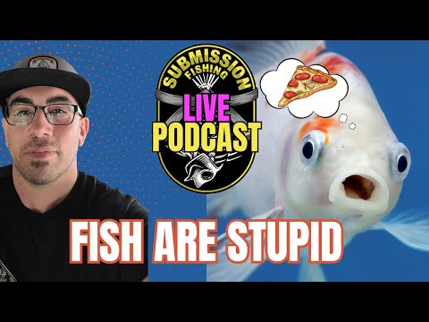 Stop over analyzing, fish are stupid.