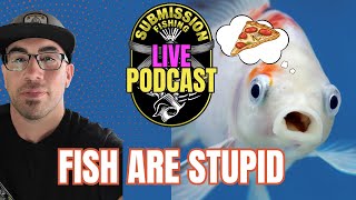 Stop over analyzing, fish are stupid.