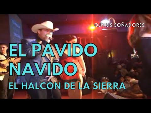 El Halcon De La Sierra - El Pavido Navido (EN VIVO)