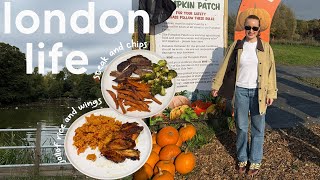 ep8 london life | home cooking, mum life rant, days out in hampstead, willows activity farm