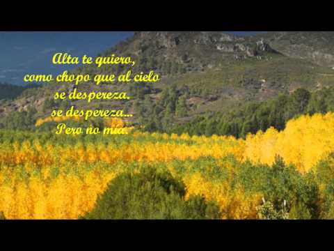 Libre te quiero  AMANCIO PRADA