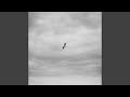 The Stable Song (feat. John Collins McLaughlin)
