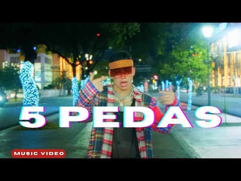 5 PEDAS - Diego Villacis DVM | VISUALIZER