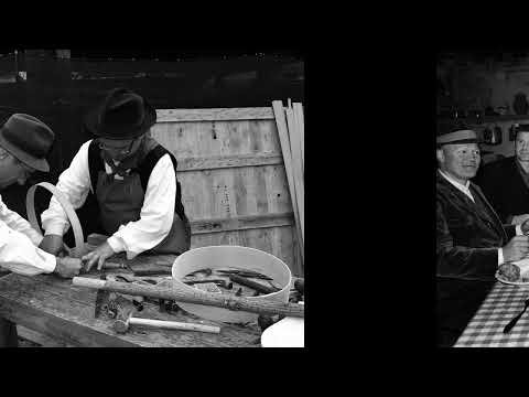 VIGOLZONE - MOSTRA ANNI 50 (1946-1960)