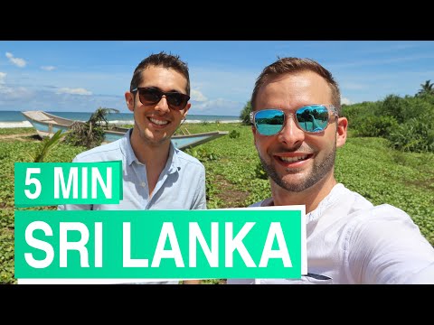 Sri Lanka in 5 Minuten 🌴🐢🐘 Traumziel Sri Lanka im Indischen Ozean