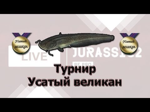 Русская Рыбалка 3.99 Турнир Усатый Великан Ахтуба. Стрим.